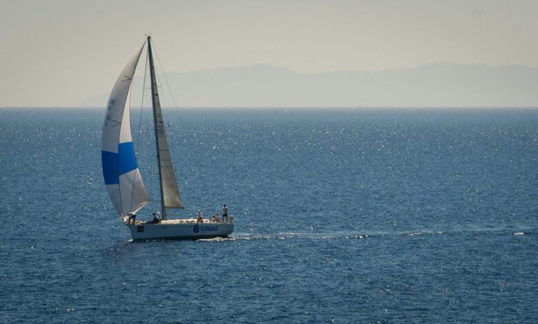 competitive market navigation strategies