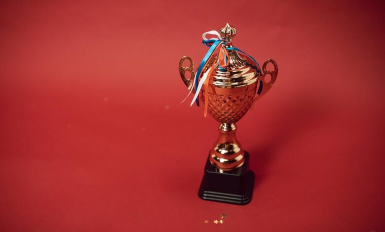 leadership excellence framework development