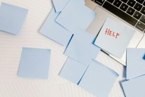 business support phone number