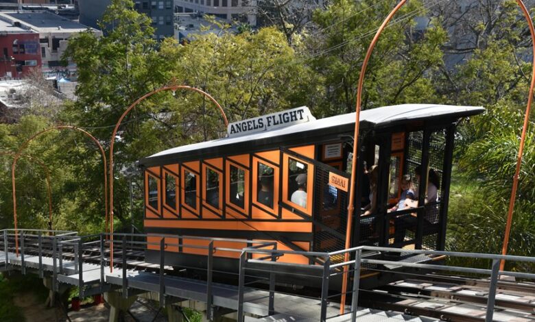 elevate marketing online platform