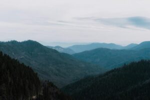 digital growth enhancement tools