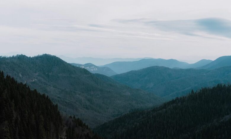 digital growth enhancement tools