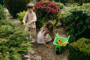 growth tools for development