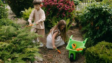 growth tools for development