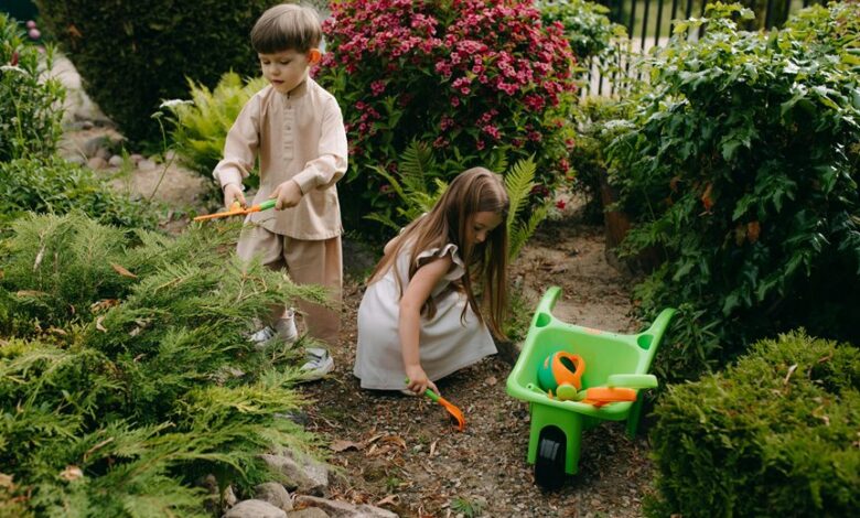 growth tools for development