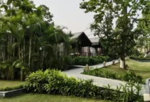 Building landscapes that last: How construction quality reduces commercial maintenance costs