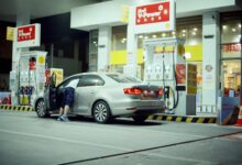 cosmic prism animal movie