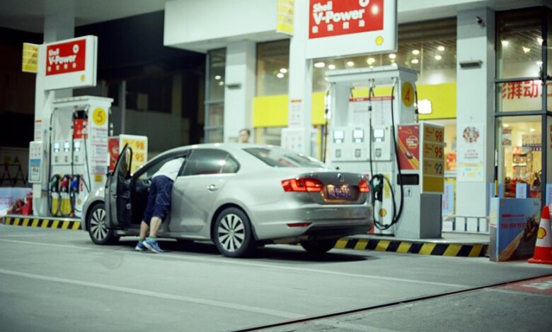 cosmic prism animal movie