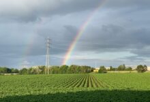 horizon arc start driving synergy