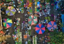 infinite arc 210 405 1767 unlocking market horizons