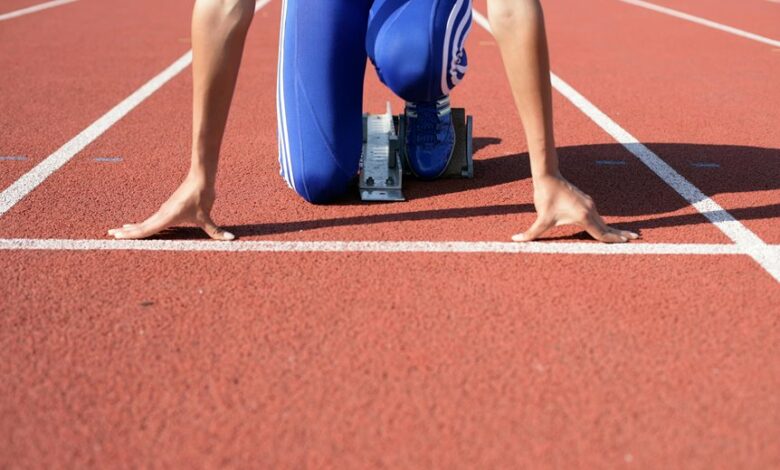 luminous flow start shaping reliable lookup_results