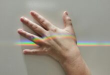 nova prism opens creative horizons