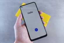 velocity gateway starts 240 799 1393 shaping phone insight